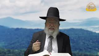 דף היומי בחצי שעה - גיטין דף מ"א