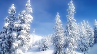 Matti ja Teppo - Valkea joulu (sanat)
