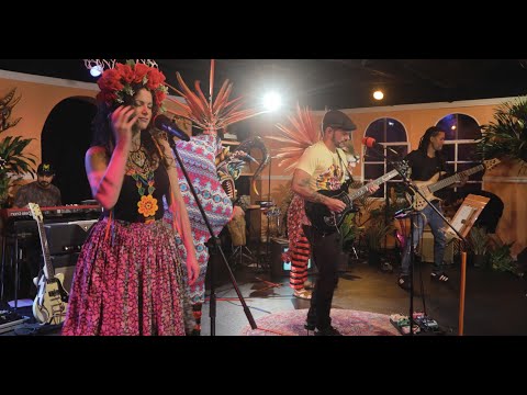 Life in the Tropics - Cienfue - Tropical Tapes Live Concert 2022