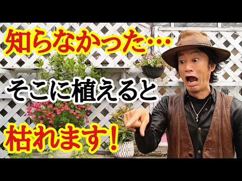 園芸 輪作を理解する