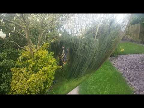 The Lawn Enforcers video.