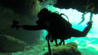 preview picture of video 'Diving Casa Cenote, Tulum Mexico'