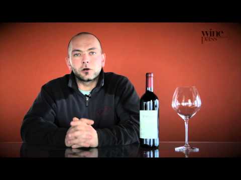 Wine Tasting - Conterno Fantino - Barolo Sorì Ginestra