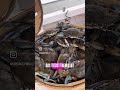 Gas prices, crab prices increase - Video