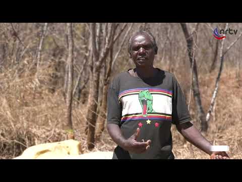 Mass Graves at Chibondo (Part 1) | Madii Mambofamba