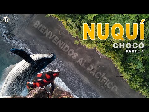 Bienvenidos a NUQUÍ, el secreto mejor guardado del Chocó Pt 1 | Epis 53