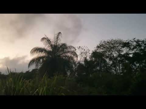 Tim Berne, David Torn & Ches Smith - Sun of Goldfinger, Madison (2019)