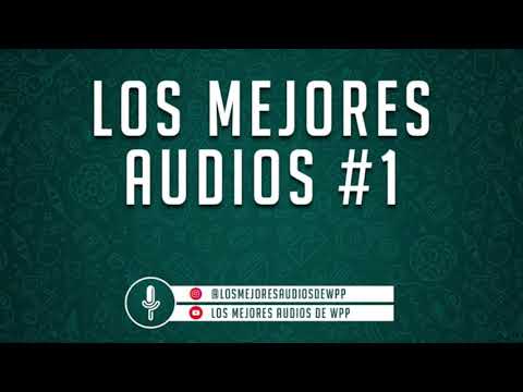 LOS MEJORES AUDIOS DE WHATSAPP - COMPILADO #1