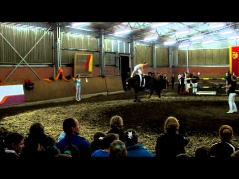 Siegener RV Nessi Kür in Elverter Heide