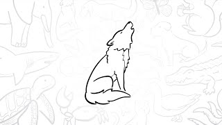 🐺 How to Draw a Simple Howling Wolf | Step-by-Step Lesson 🌕