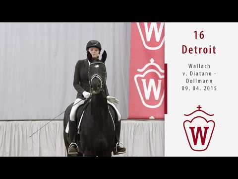 16 Detroit  Wallach v. Diatano - Dollmann