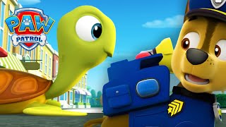 Download lagu Como as tartarugas atravessam a estrada?! 🐢 - Patrulha Canina PAW Patrol mp3
