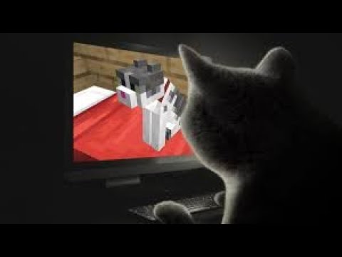 Insane Cat Master Speedruns Minecraft Hardcore