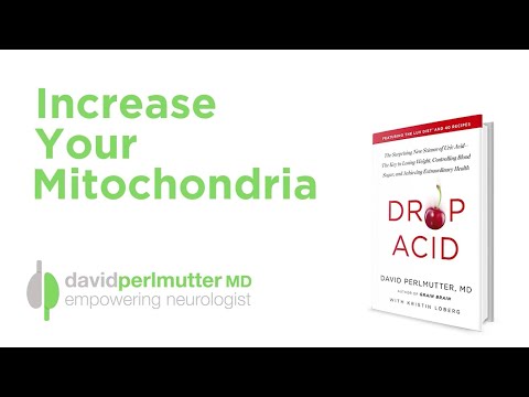 Increase Your Mitochondria, Your Body Will Thank You | The Acid Drop