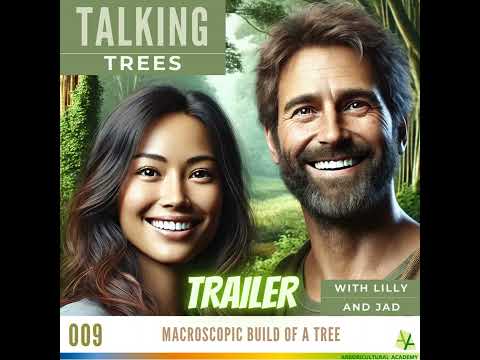 Macroscopic build of a tree - TRAILER