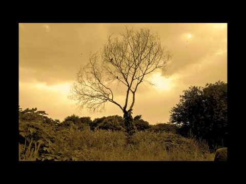 Orange Project ft. Kristy Hawkshaw - Alive (Arnej Destination Unknown Remix)