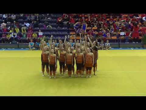 Bloco "Coyotes e Guaxinis" - CDESMT