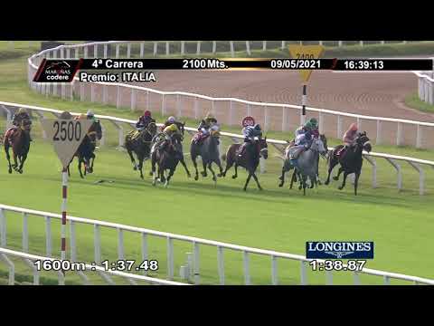 210509 c04 Italia/ CALPURNIA