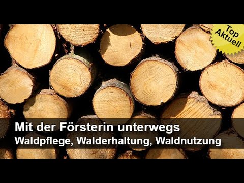 Mit der Försterin unterwegs - Waldpflege, Walderhaltung, Waldnutzung | Trailer MedienLB