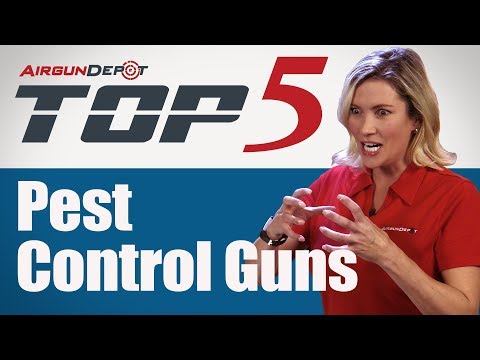 Top 5: Pest Control Guns
