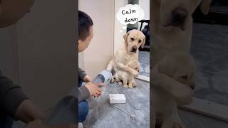 ❤️Mom is the one who will always protect you when you made mistakes🥰#love Angry Dad loves you too!