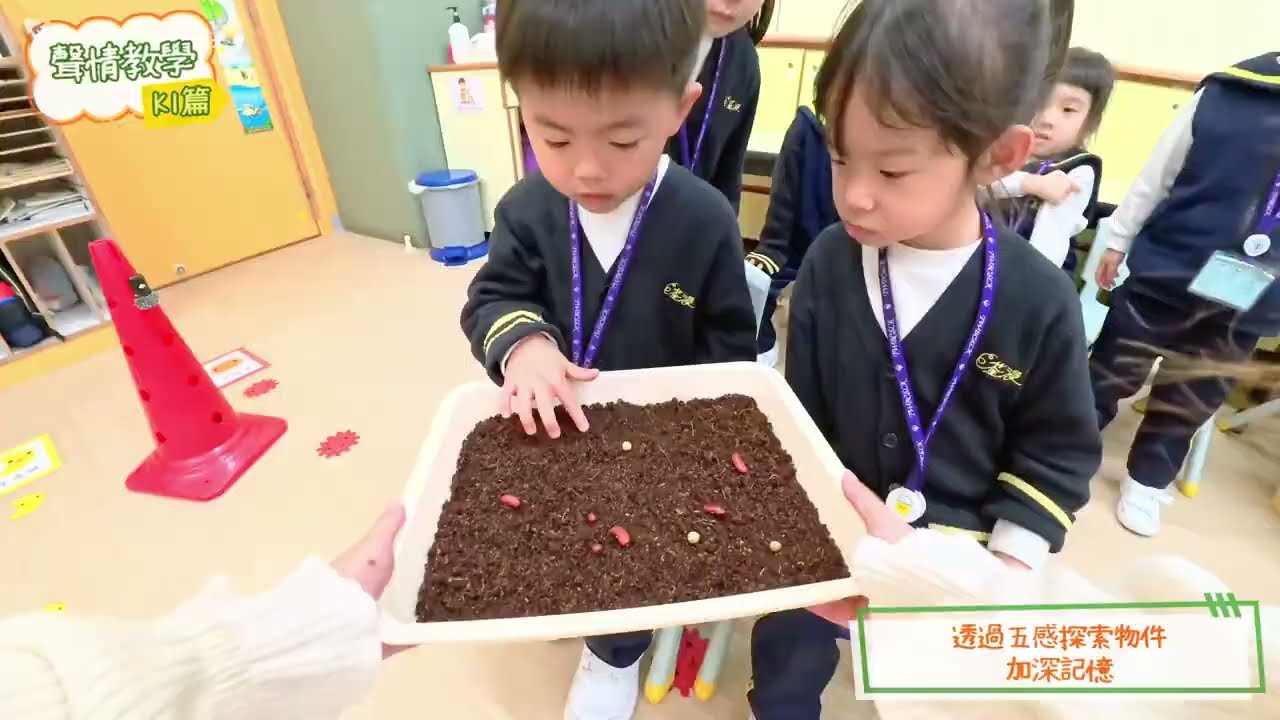 荃浸石籬   聲情教學 K1 篇