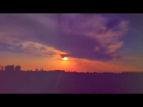 Sarob Guruhi - Terma 2