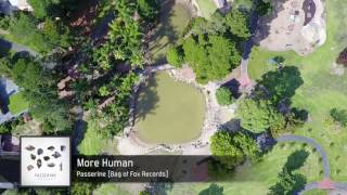Passerine - More Human [FULL SONG]