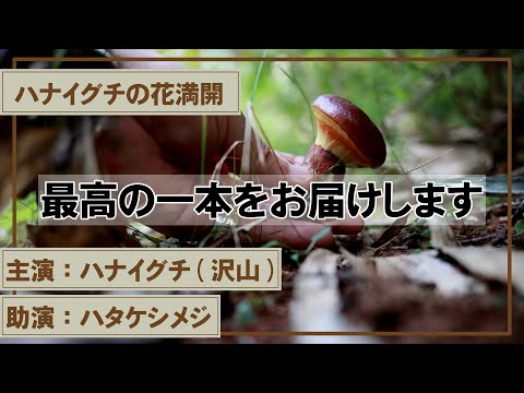 秋のイソギンチャクの世話: 3 つの最大の間違い トピックス