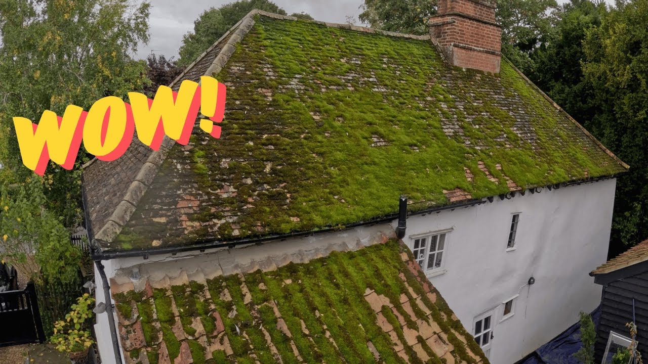 I Remove A SHOCKING Amount Of Growth Before The Moss Completely DESTROYS This Roof!