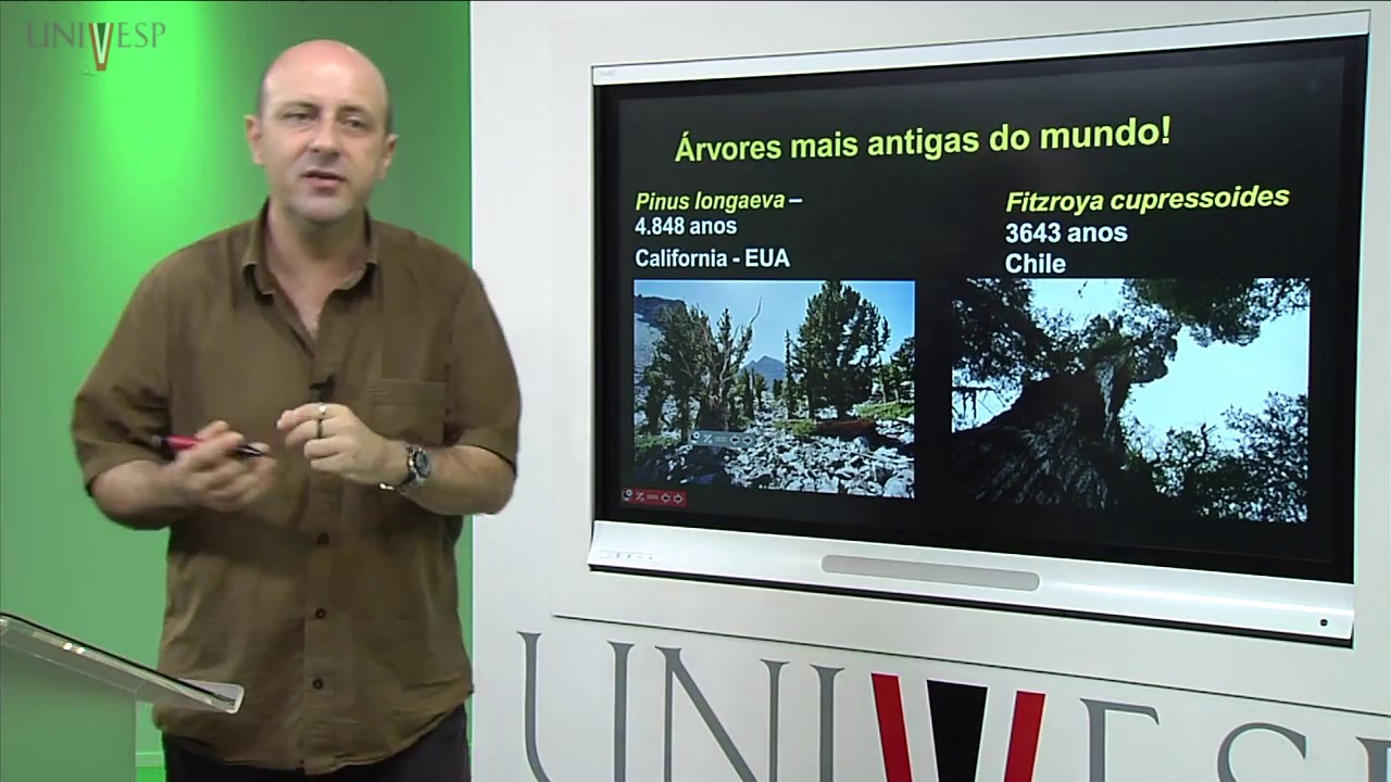 Morfologia Vegetal - Aula 28 - Reprodução Vegetativa