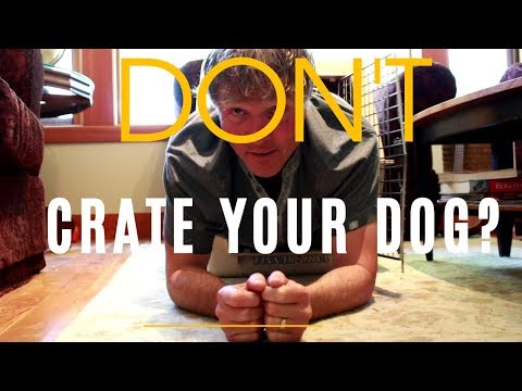 Don't CRATE Your Dog?