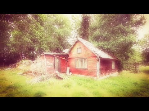 ÖDEHUSET i skogen norr om HASSELSTAD - 200804 (Version 2 - 0.5x EDIT) - RONNEBY - Blekinge (Huawei)