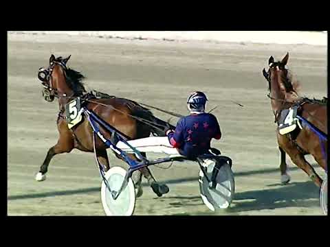 Napoli Trotto 18/04/2022 - 8ª corsa