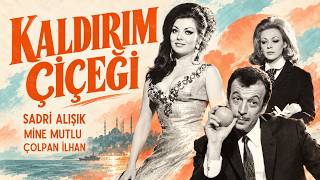 Kaldırım Çiçeği Türk Filmi | FULL | Sadri Alışık | Çolpan İlhan