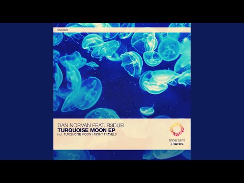 Night Travels (Original Mix)