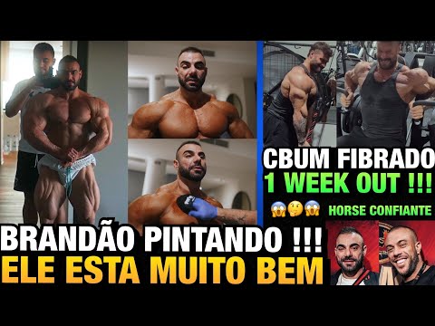BRANDÃO ESTÁ INSANO E INICIOU PINTURA + CBUM FIBRANDO TUDO RUMO A PRAGUE