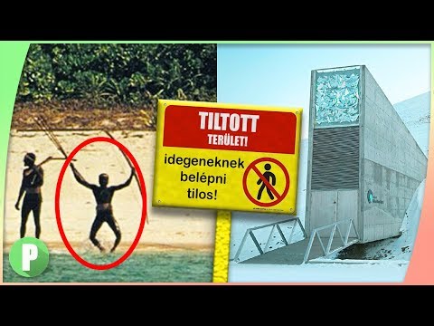 ha férgről vagy férgekről álmodik ostorférgek emberben