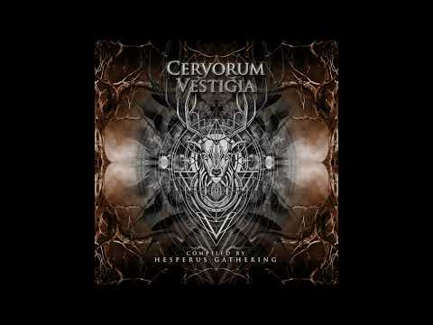 Traumaticoma - Frost Bite (190 BPM)