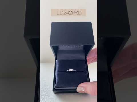 ルシアン・ラザールについて詳しく解説