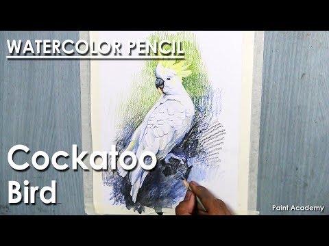 Mountains and Pine Tress Watercolor Pencil Landscape Drawing | steps to follow