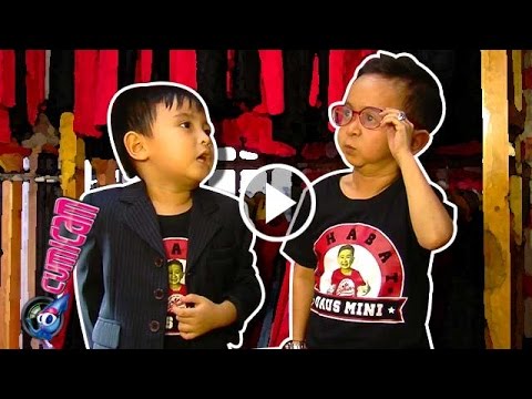 Postur Sama, Jas Daus Mini-Babang Seukuran - Cumicam 12 April 2017