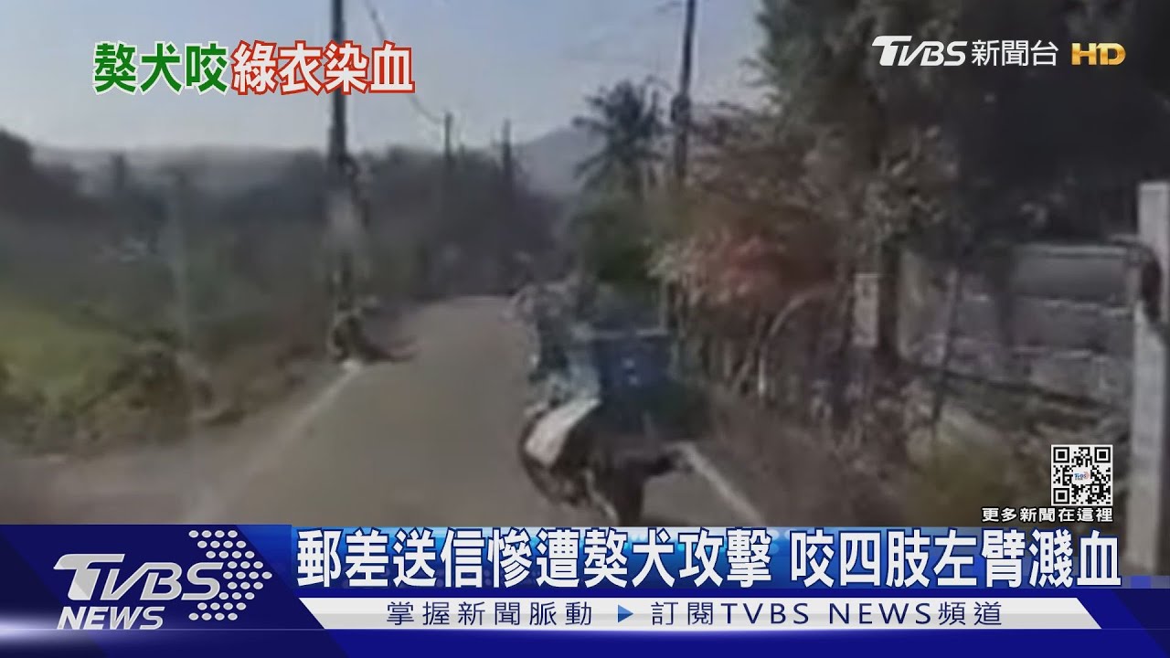 郵差送信慘遭獒犬攻擊 咬四肢左臂濺血