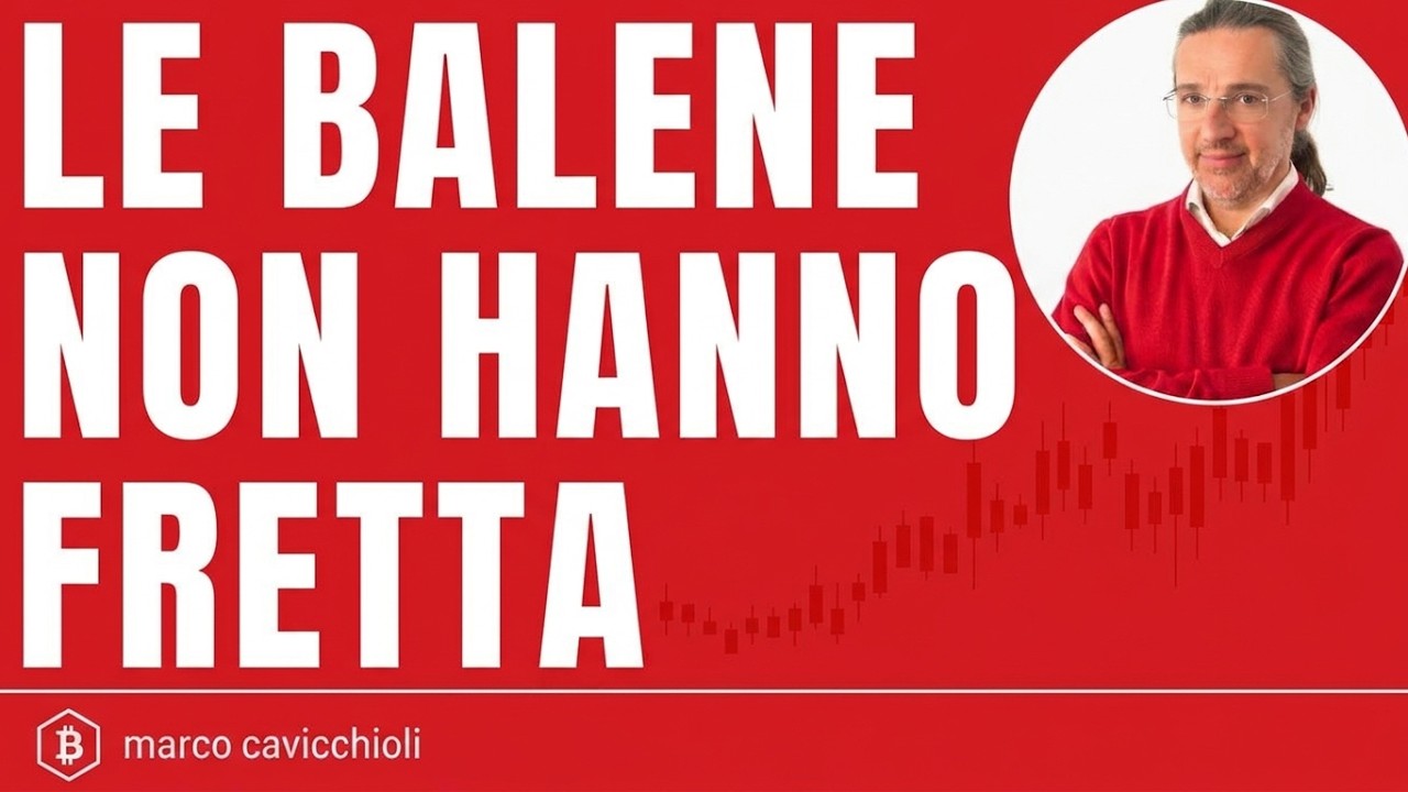 Le balene non hanno fretta (ma noi purtroppo sì)