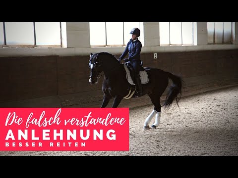 Besser reiten mit Christoph Ackermann | die falsch verstandene Anlehnung