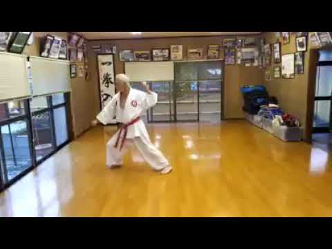 Passai Sho by Kenshin Ishida