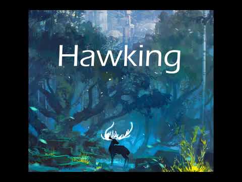 Safety Bricks   Kevin Drew Cover by Hawking