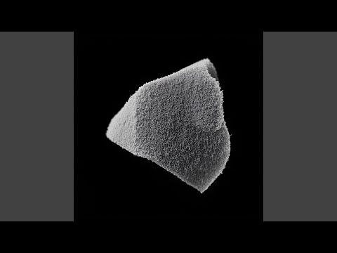 The Scholarship's Hollow Victory