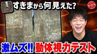 【バカゲー】一瞬すぎて見えない!?「すきまから何見えた？」に大苦戦!!