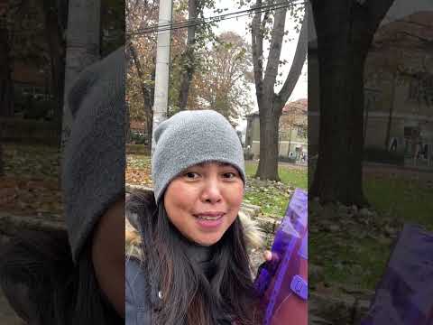 1 year schengen visa multi - how to get it - english sub